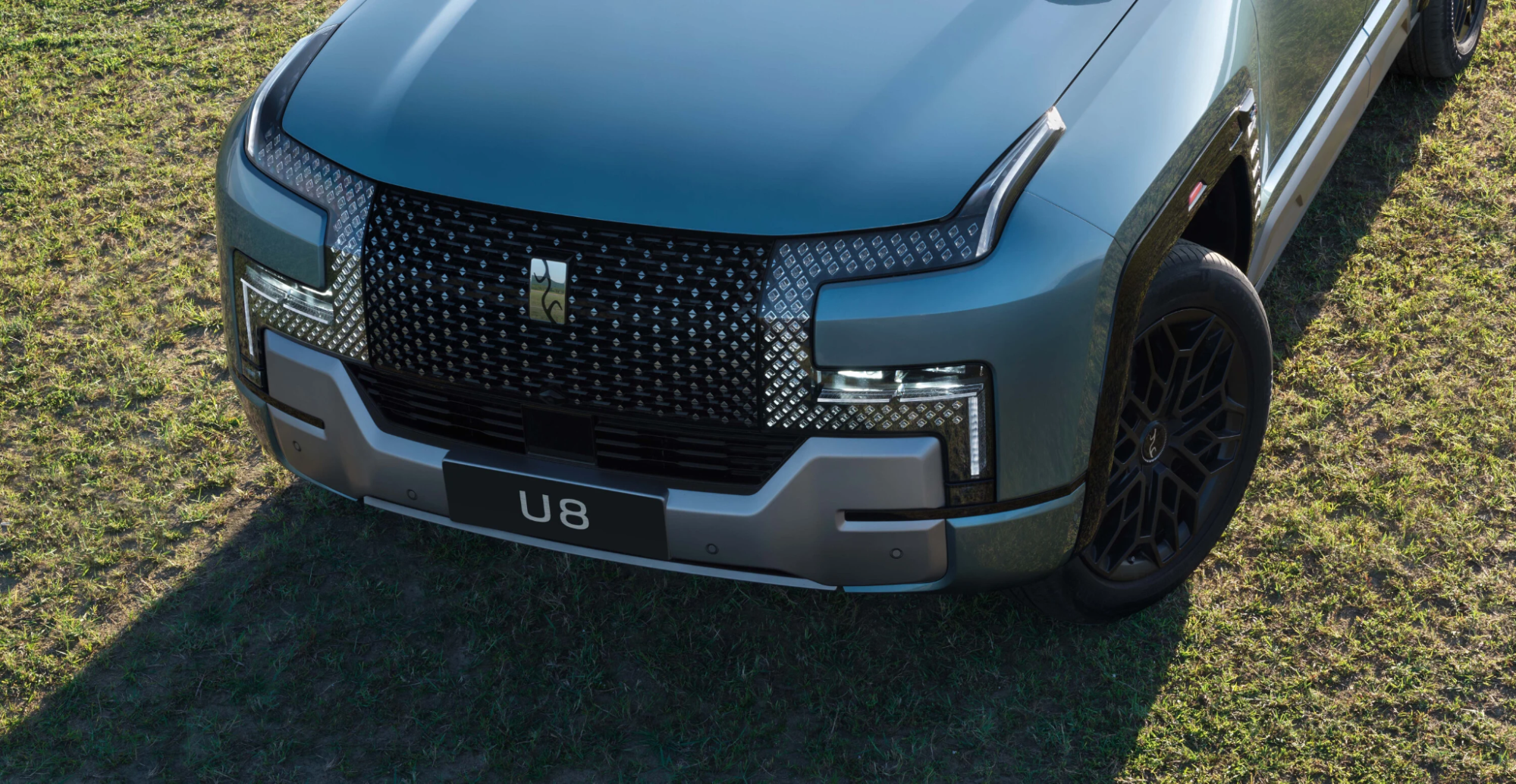 yangwang u8 in romania