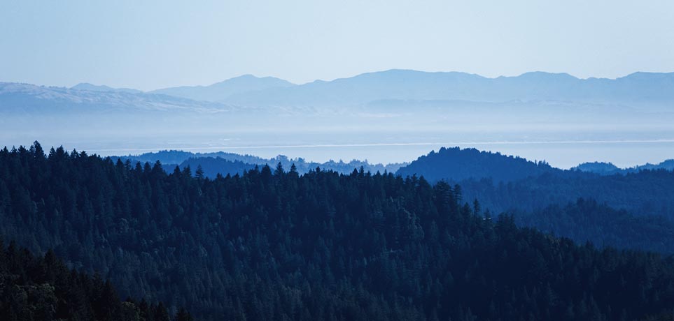 about us article 1 small