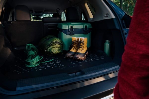 24TDIEULHD_X TRAIL_N TREK_009_pace810 d